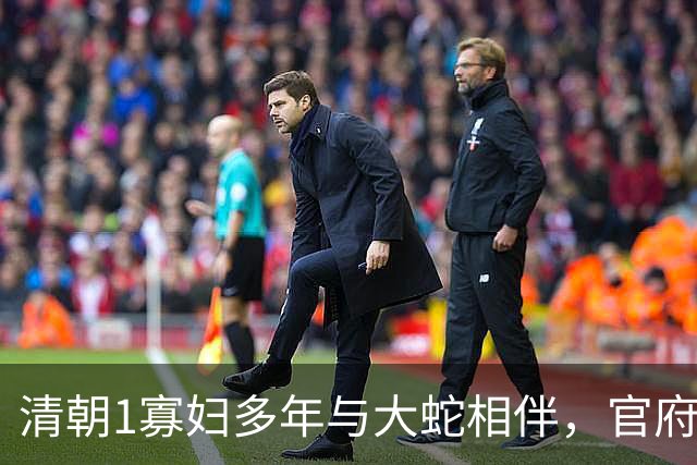 清朝1寡妇多年与大蛇相伴，官府发现真相后，立即将她打入大牢！