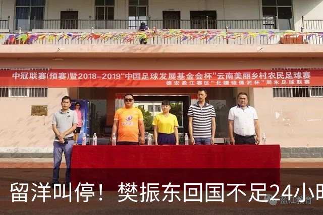 留洋叫停！樊振东回国不足24小时，官宣新身份，总算盼来这一天